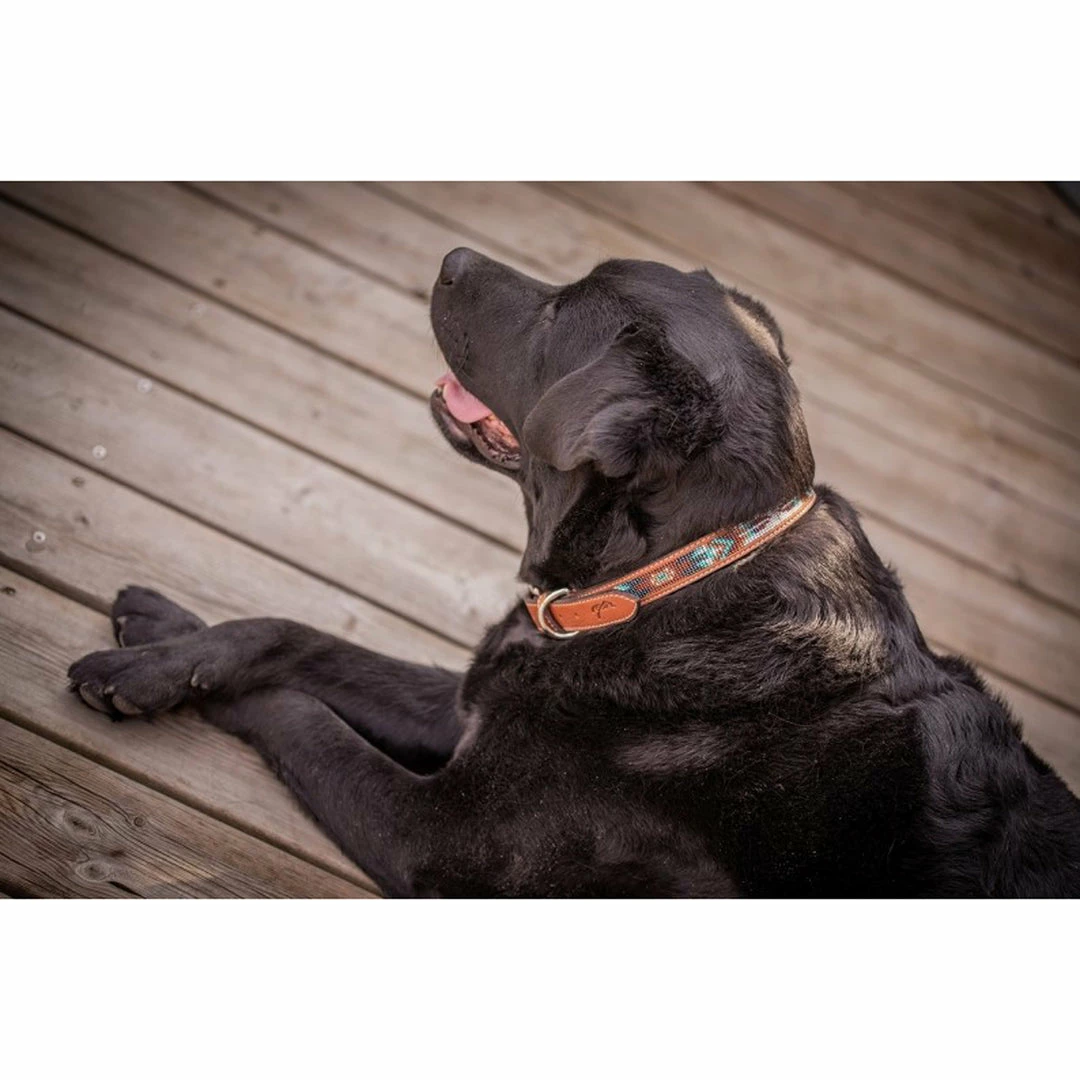 Promo ✔️ French Equestrian Penelope Pearl 🐶 Dog Collar ⭐ 13 French Equestrian Penelope Pearl Dog Collar