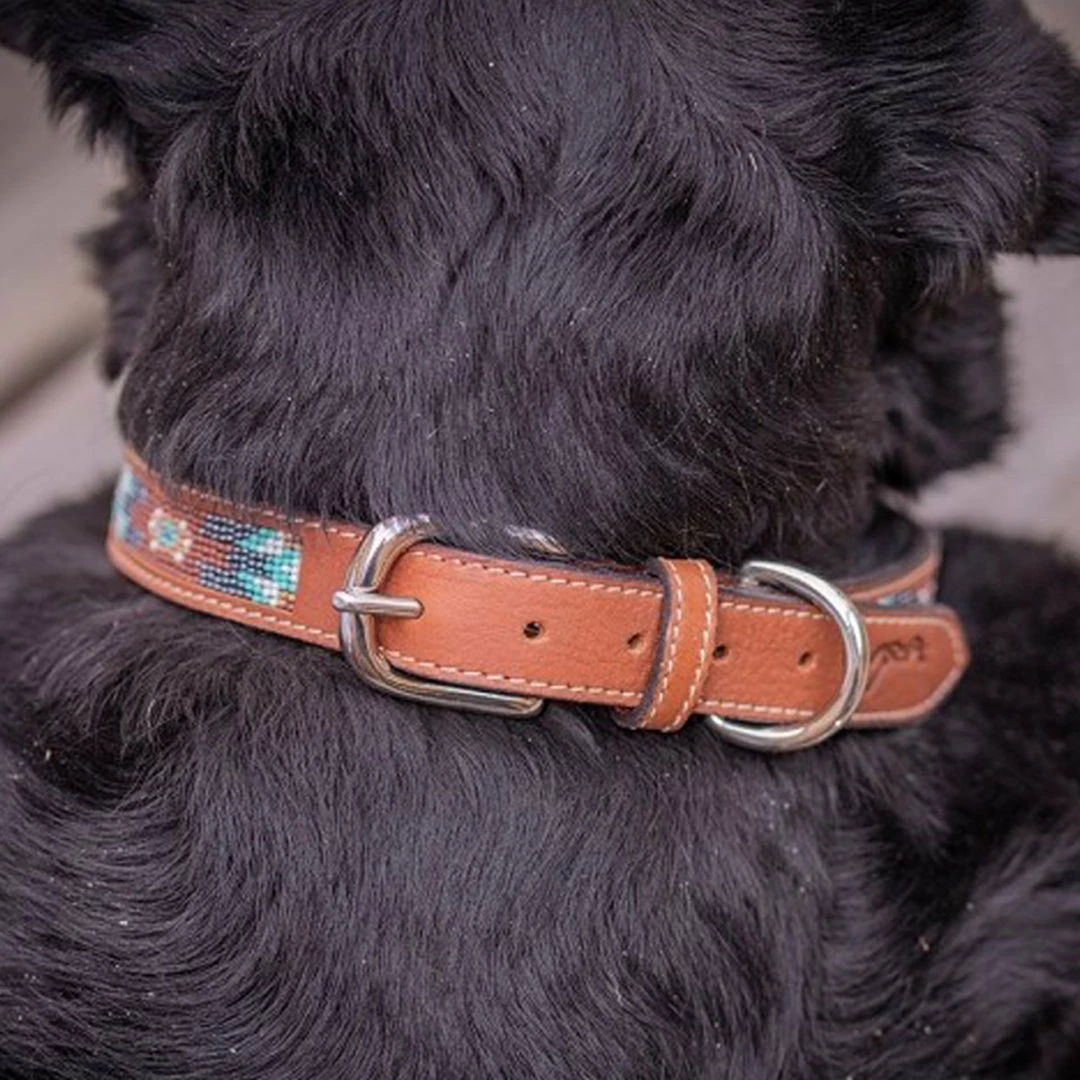 Promo ✔️ French Equestrian Penelope Pearl 🐶 Dog Collar ⭐ 14 French Equestrian Penelope Pearl Dog Collar