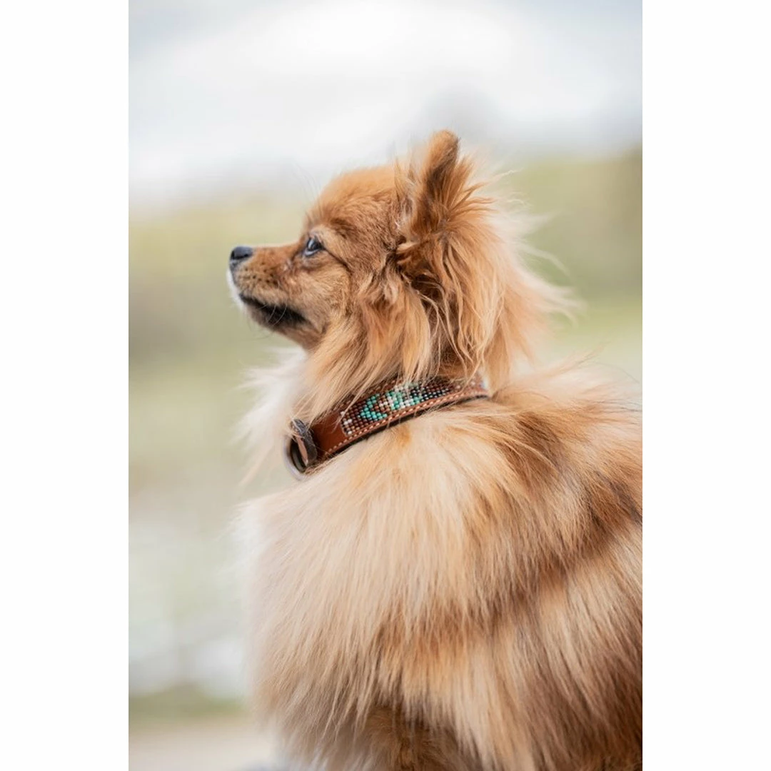 Promo ✔️ French Equestrian Penelope Pearl 🐶 Dog Collar ⭐ 11 French Equestrian Penelope Pearl Dog Collar