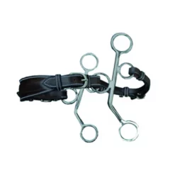 French Equestrian Jump' In Short Shank Leather Hackamore