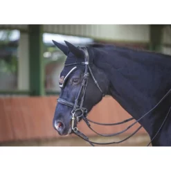 French Equestrian English Bridles Jump'in Patent Double Bridle - Week Collection