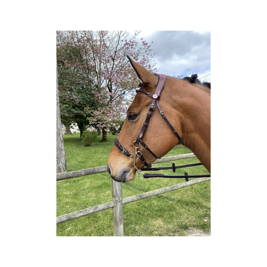 Coupon π French Equestrian English Bridles Jump'in Hackamore Bridle - Week Collection π― 4 French Equestrian English Bridles Jump'in Hackamore Bridle - Week Collection