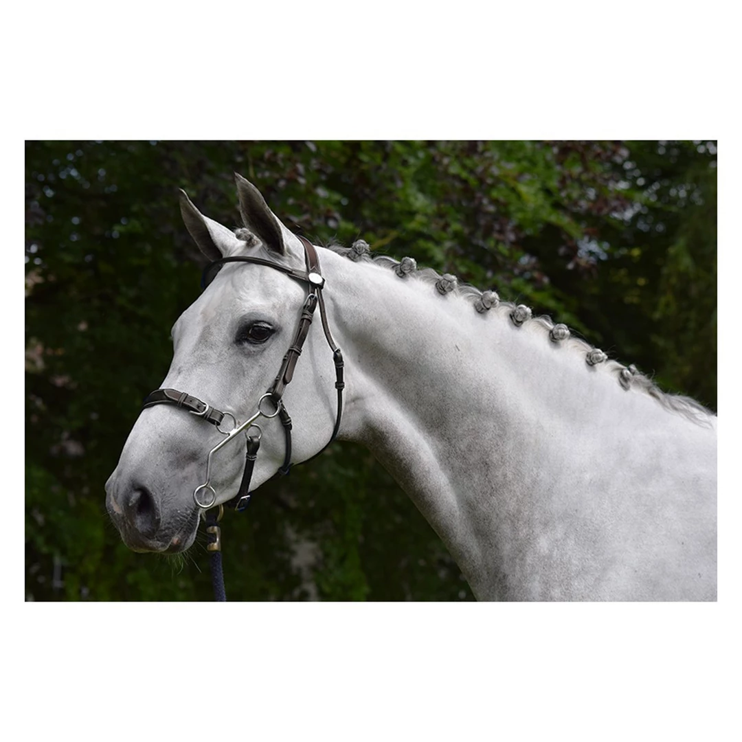 Coupon π French Equestrian English Bridles Jump'in Hackamore Bridle - Week Collection π― 3 French Equestrian English Bridles Jump'in Hackamore Bridle - Week Collection