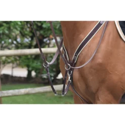 French Equestrian Jump'in Elastic Breastplate - One Collection