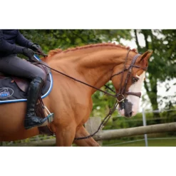 French Equestrian Horse Training Equipment Jump'in Patrick Training Aid