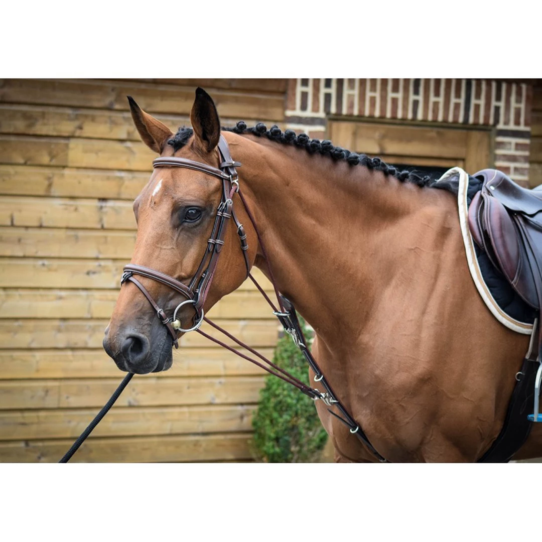 Outlet π French Equestrian Jump'in De Gogue - One Collection π― 3 French Equestrian Jump'in De Gogue - One Collection