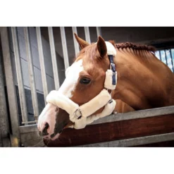 French Equestrian Jump' In Soft Halter - One Collection