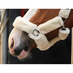 French Equestrian Jump' In Soft Halter - One Collection