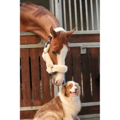 French Equestrian Jump' In Soft Halter - One Collection