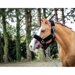 French Equestrian Jump' In Soft Halter - One Collection