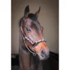 French Equestrian Jump' In Travel Halter - One Collection