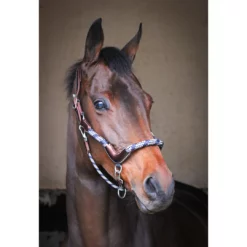French Equestrian Jump' In Travel Halter - One Collection
