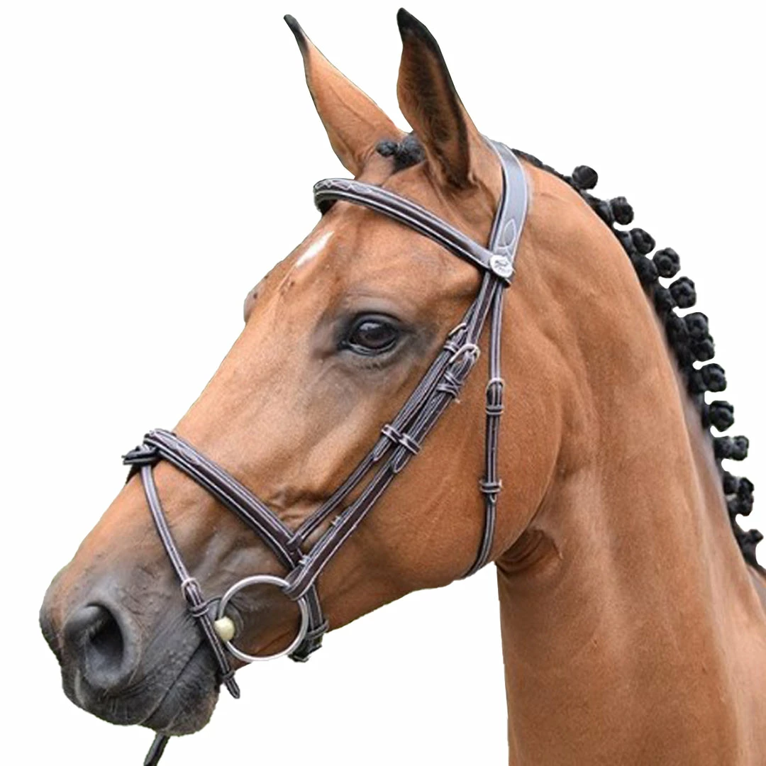 Promo ❤️ French Equestrian English Bridles Jump'in Thursday Bridle - Week Collection 😀 3 French Equestrian English Bridles Jump'in Thursday Bridle - Week Collection