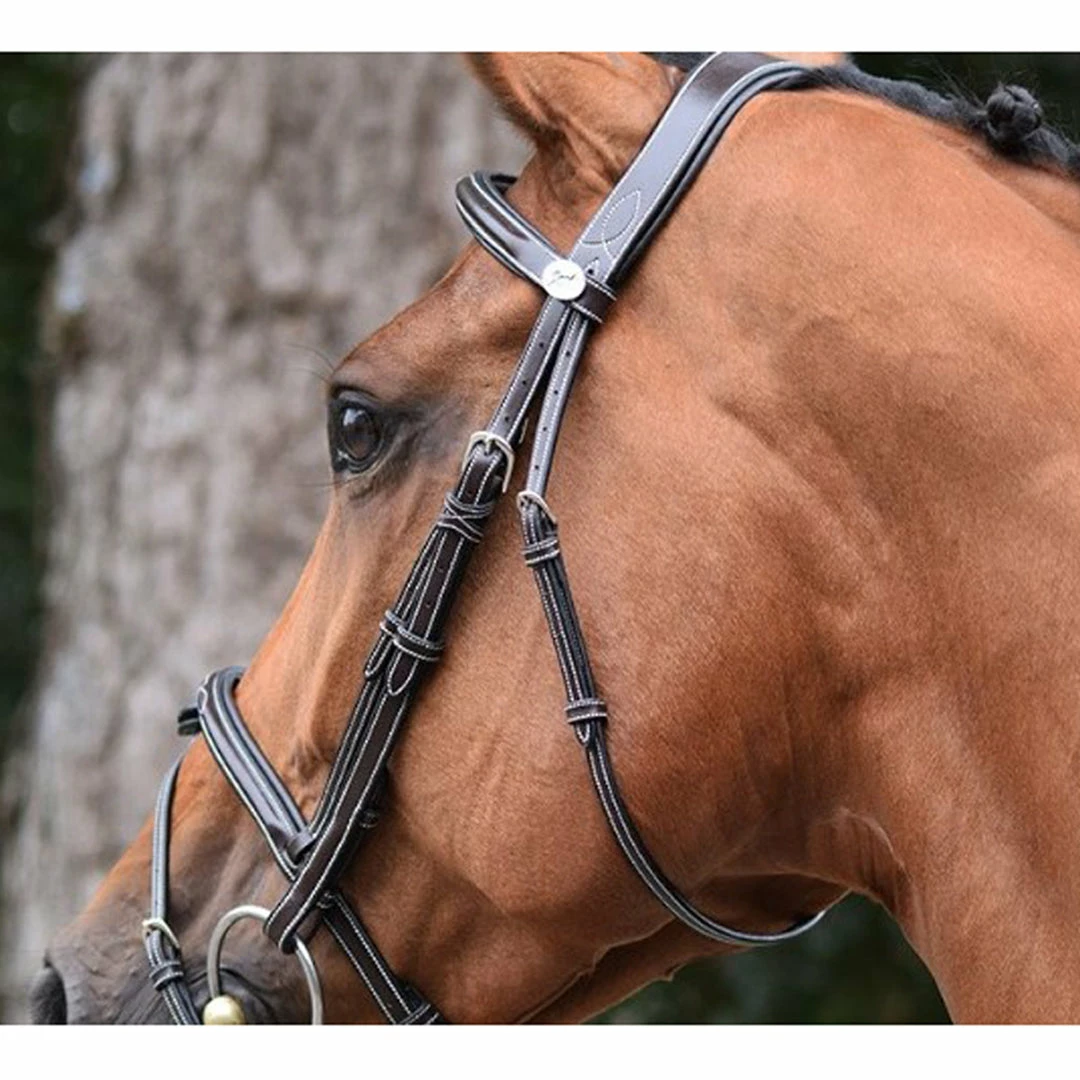 Promo ❤️ French Equestrian English Bridles Jump'in Thursday Bridle - Week Collection 😀 4 French Equestrian English Bridles Jump'in Thursday Bridle - Week Collection