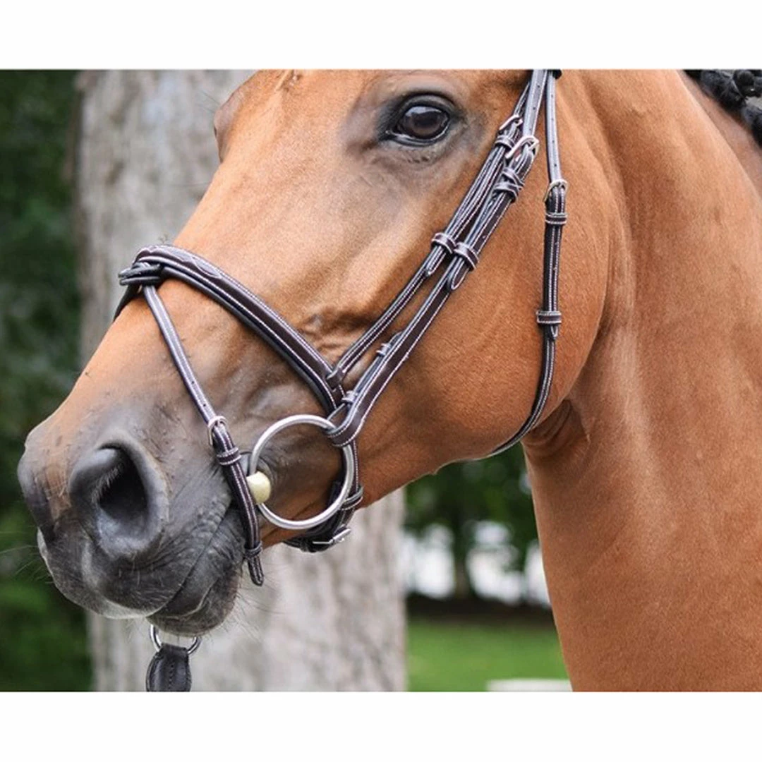 Promo ❤️ French Equestrian English Bridles Jump'in Thursday Bridle - Week Collection 😀 5 French Equestrian English Bridles Jump'in Thursday Bridle - Week Collection