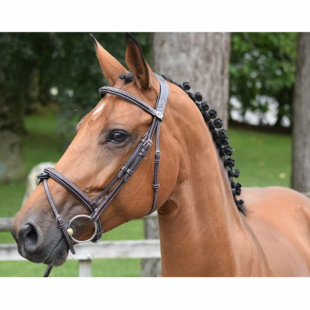Promo ❤️ French Equestrian English Bridles Jump'in Thursday Bridle - Week Collection 😀 6 French Equestrian English Bridles Jump'in Thursday Bridle - Week Collection
