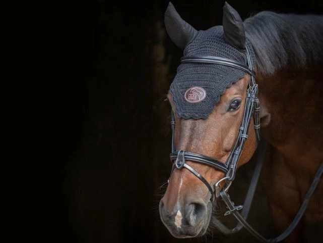 Deals โ๏ธ French Equestrian Jump'in Tuesday Bridle - Week Collection ๐ 4 French Equestrian Jump'in Tuesday Bridle - Week Collection