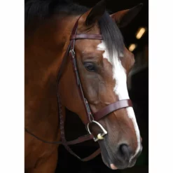 English Bridles Black Oak By KL Select Foxtrot Hunt Bridle