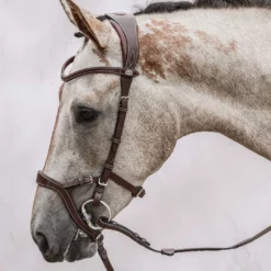 PS Of Sweden Nirak Bridle