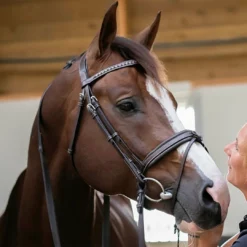 French Equestrian Penelope Daily Bridle