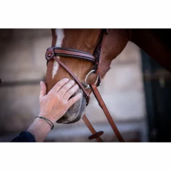 Promo π French Equestrian Penelope US Bridle π 12 French Equestrian Penelope US Bridle