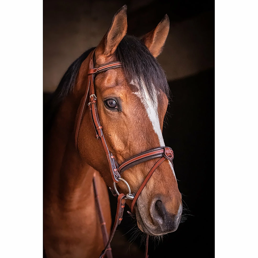 Promo π French Equestrian Penelope US Bridle π 4 French Equestrian Penelope US Bridle