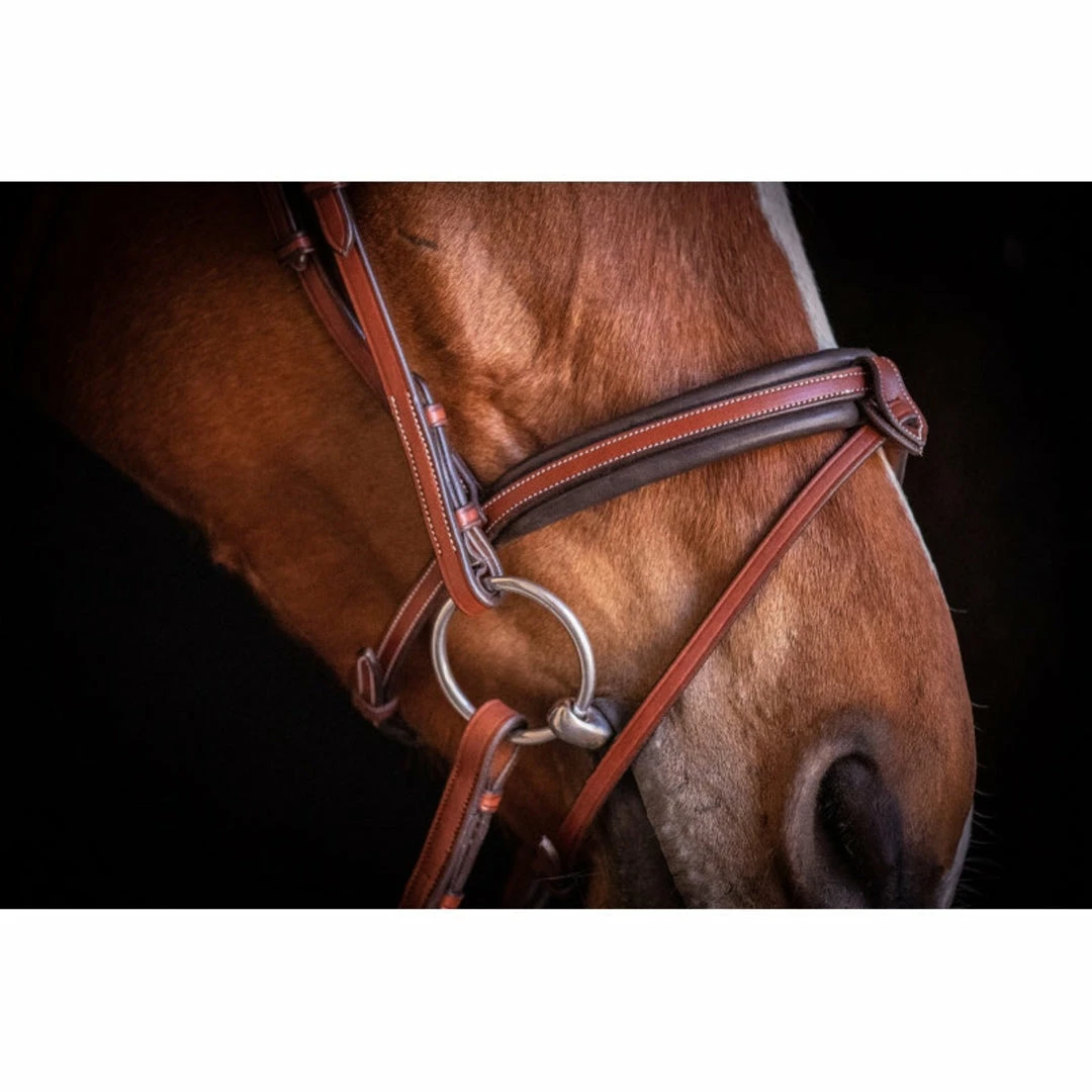 Promo π French Equestrian Penelope US Bridle π 5 French Equestrian Penelope US Bridle
