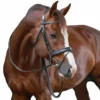 French Equestrian Penelope Daily Bridle
