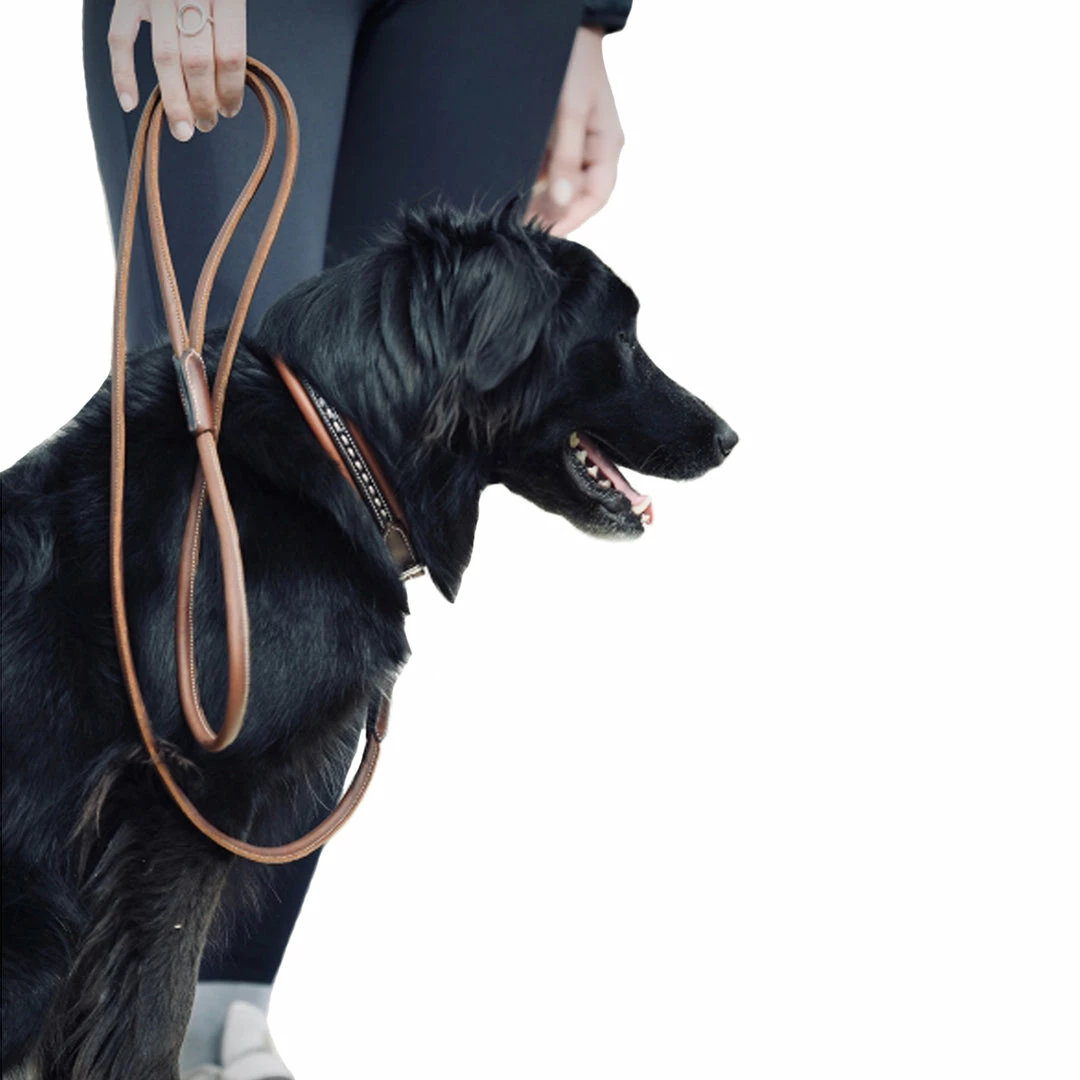 Best Sale โญ French Equestrian Penelope Leather ๐ถ Dog Leash ๐ 3 French Equestrian Penelope Leather Dog Leash
