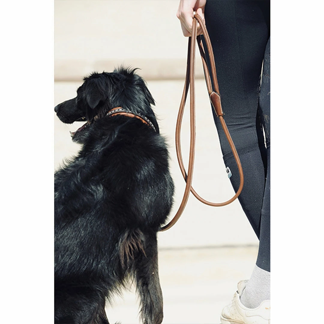 Best Sale โญ French Equestrian Penelope Leather ๐ถ Dog Leash ๐ 4 French Equestrian Penelope Leather Dog Leash