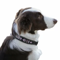 French Equestrian Penelope Pearl Dog Collar