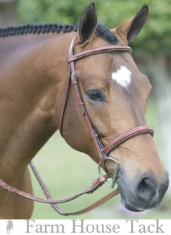 English Riding Supply Pessoa Fancy Wide Noseband Show Bridle W/ Fancy Stitched Laced Reins