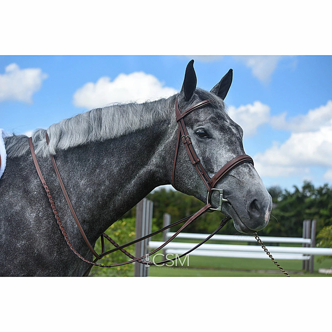 Discount π Renaissance By Prestige Hunter Bridle Gifts For Your Horse π 4 Renaissance By Prestige Hunter Bridle Gifts For Your Horse