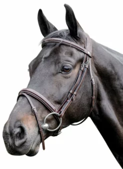 Prestige 3E083 Raised Bridle With Stitching English Bridles