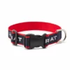 Cheap 😉 Ariat 🐶 Dog Collar 🧨 2 Ariat Dog Collar