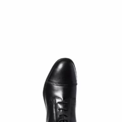 Riding Boots & Half Chaps Ariat Women's Kinsley Field Tall Riding Boot