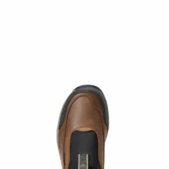 Ariat Women's Terrain Ease H2O Riding Boots & Half Chaps