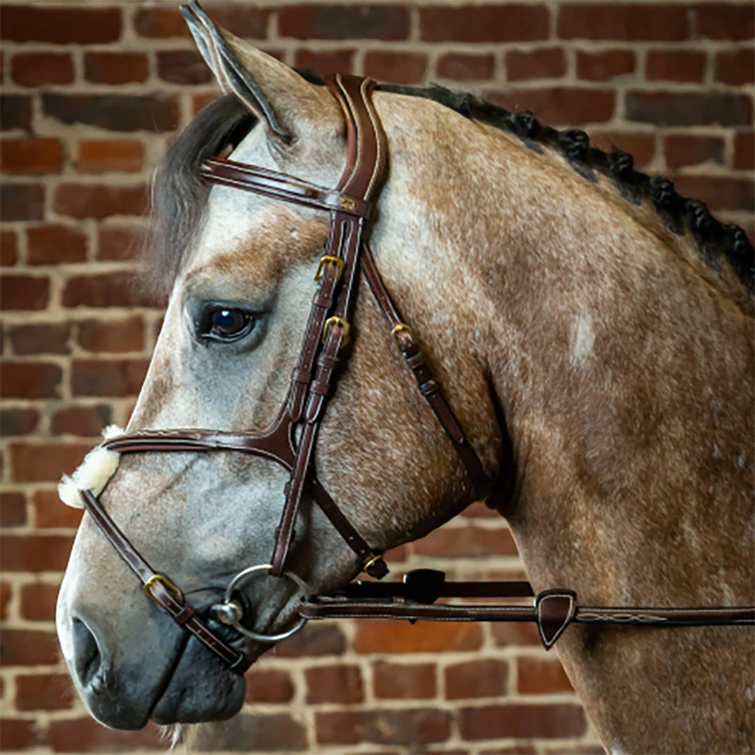 Discount π Sagmae English Bridles Dyon Fancy Figure 8 Bridle - D Collection π 3 Sagmae English Bridles Dyon Fancy Figure 8 Bridle - D Collection