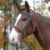 Outlet โ Shires Equestrian Products Avignon Ocala Bridle ๐ 2 Shires Equestrian Products Avignon Ocala Bridle