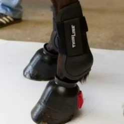 Flash Sale 🔔 ThinLine Open Front Tendon Schooling Horse Boot 🤩 9 ThinLine Open Front Tendon Schooling Horse Boot