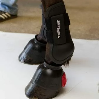 Flash Sale 🔔 ThinLine Open Front Tendon Schooling Horse Boot 🤩 5 ThinLine Open Front Tendon Schooling Horse Boot