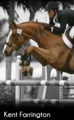 Flash Sale 🔔 ThinLine Open Front Tendon Schooling Horse Boot 🤩 11 ThinLine Open Front Tendon Schooling Horse Boot