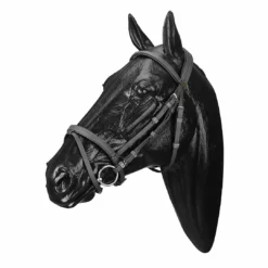 Saddlery Brands International Wintec English Bridle With Flash Noseband English Bridles