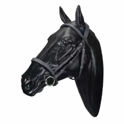 Saddlery Brands International Wintec English Bridle