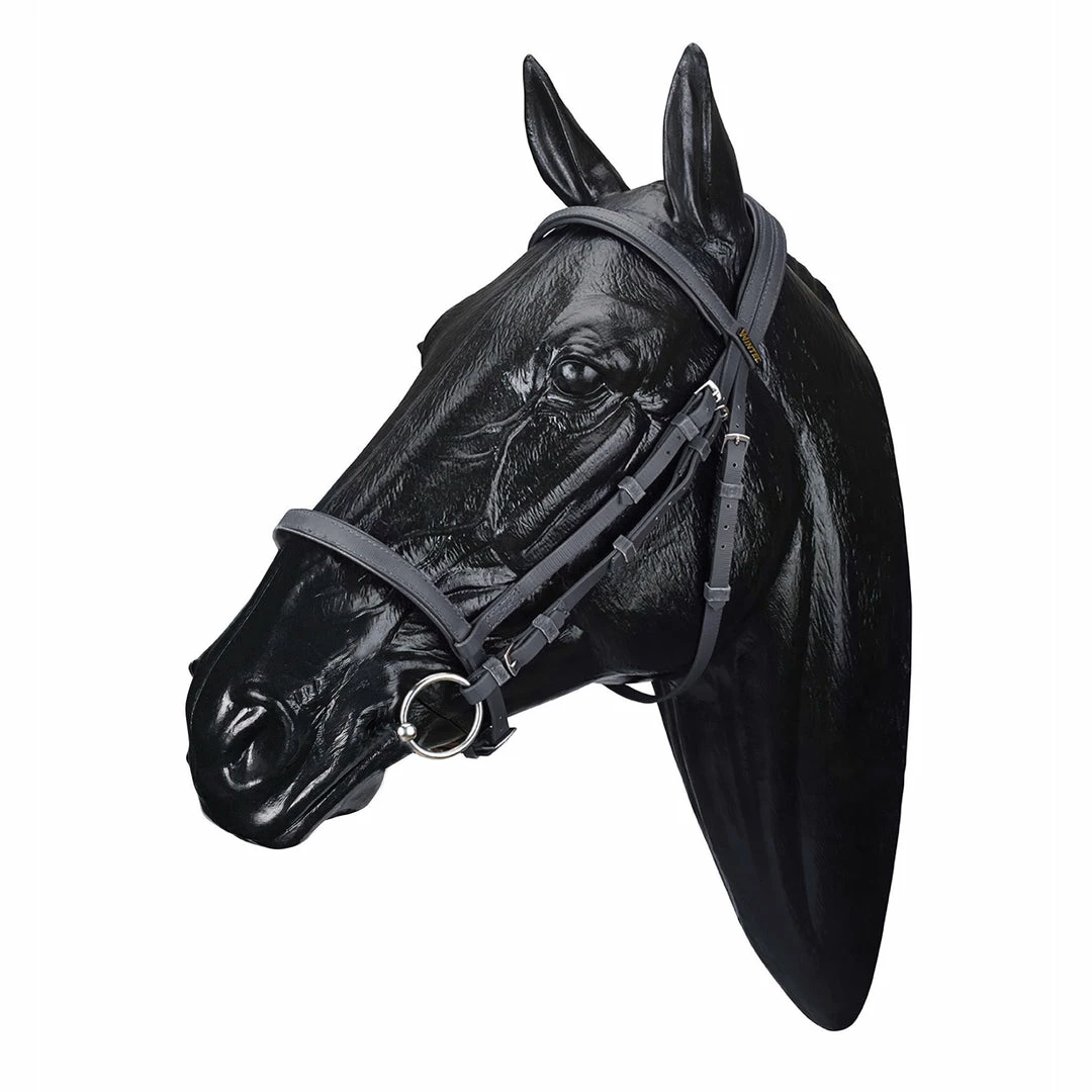 Deals 💯 Saddlery Brands International Wintec English Bridle 🥰 4 Saddlery Brands International Wintec English Bridle