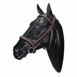 Deals 💯 Saddlery Brands International Wintec English Bridle 🥰 7 Saddlery Brands International Wintec English Bridle