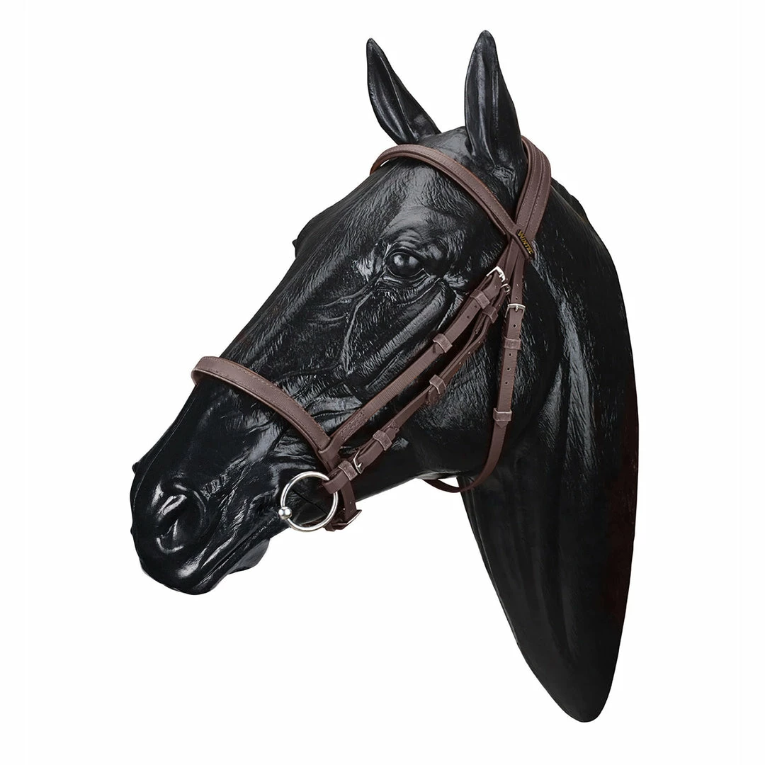 Deals 💯 Saddlery Brands International Wintec English Bridle 🥰 5 Saddlery Brands International Wintec English Bridle