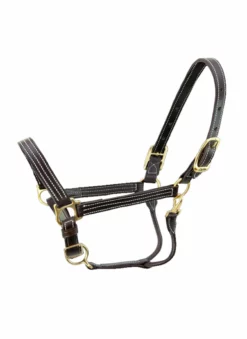 Halters & Leads Walsh Kentucky Halter