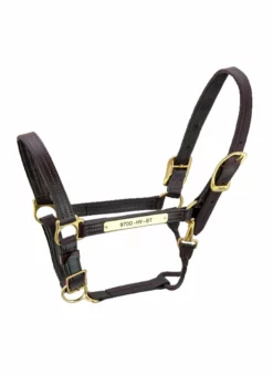 Halters & Leads Walsh Kentucky Halter