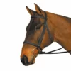 Saddlery Brands International Wintec English Bridle